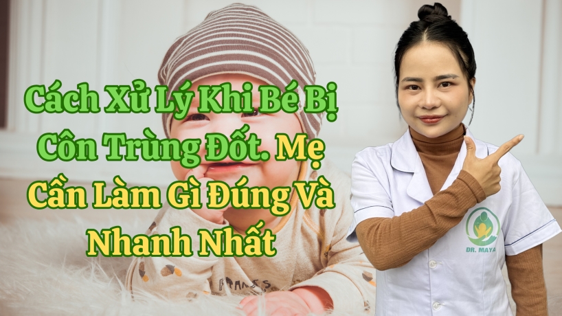 Cách Xử Lý Khi Bé Bị Côn Trùng Đốt. Mẹ Cần Làm Gì Đúng Và Nhanh Nhất